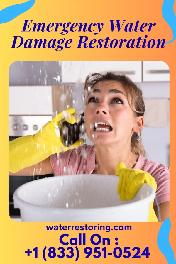 Emergency Water Damage Restoration in Ste. Genevieve, MO