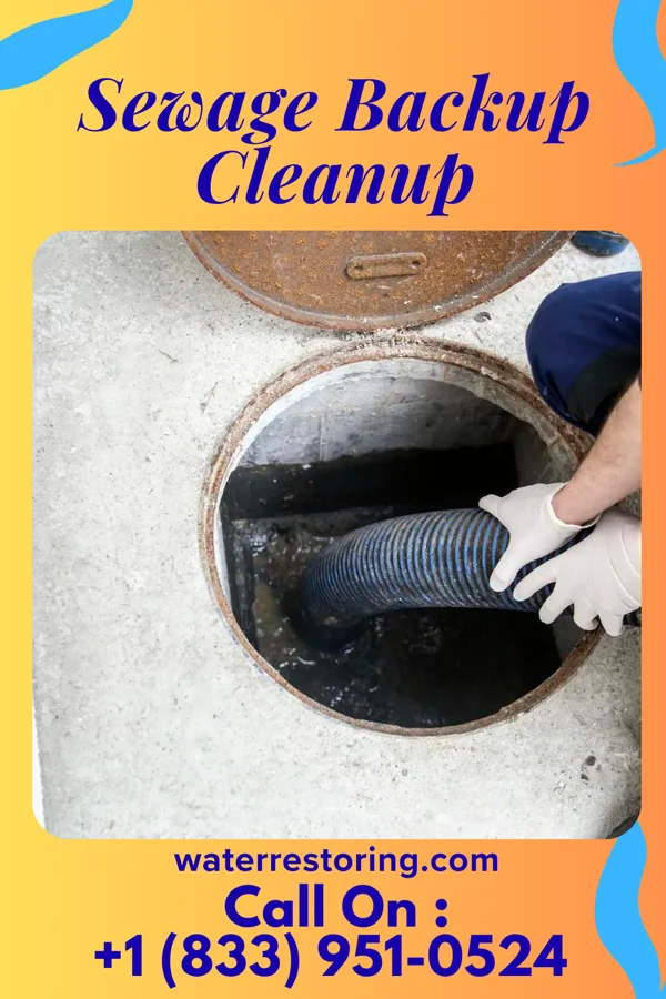 Sewage Backup Cleanup in Ste. Genevieve, MO