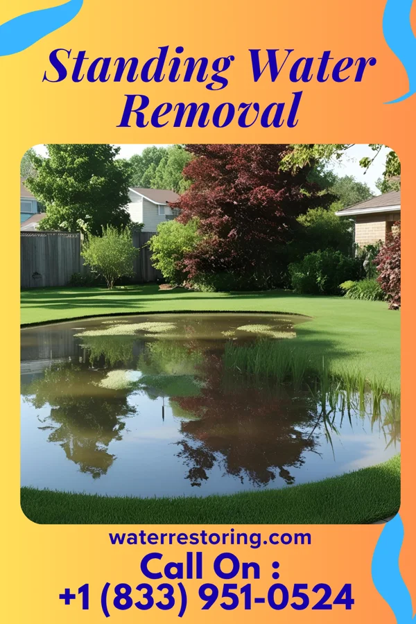 Standing Water Removal in Ste. Genevieve, MO